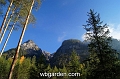 wbgarden alps 31